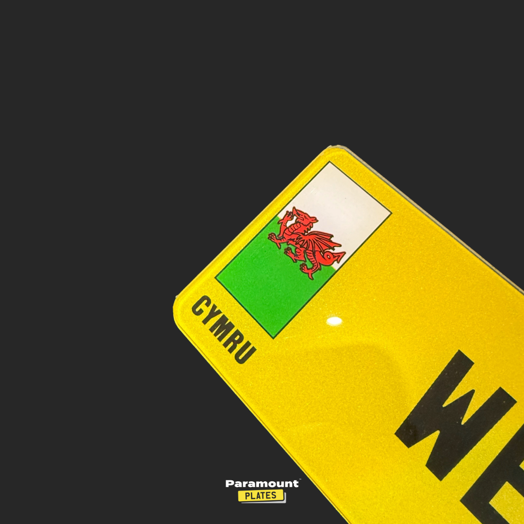 Welsh Dragon